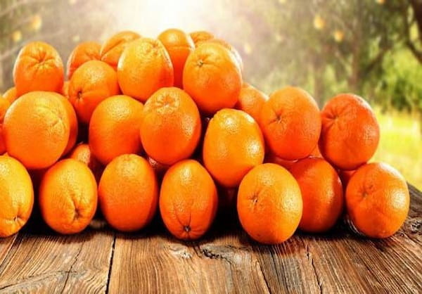 تصویر 4 از فروش پرتقال خوشه ای جهرم + قیمت خرید به صرفه